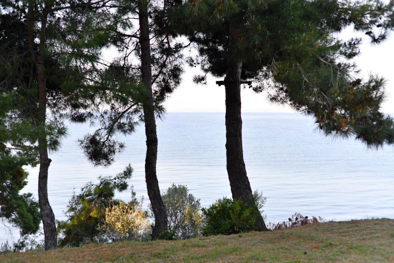 Summerday Villa Private Beach Nea Iraklia Exterior foto